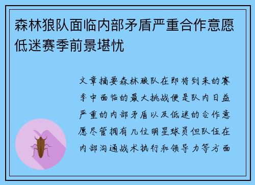 森林狼队面临内部矛盾严重合作意愿低迷赛季前景堪忧