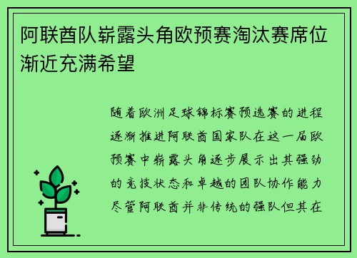 阿联酋队崭露头角欧预赛淘汰赛席位渐近充满希望