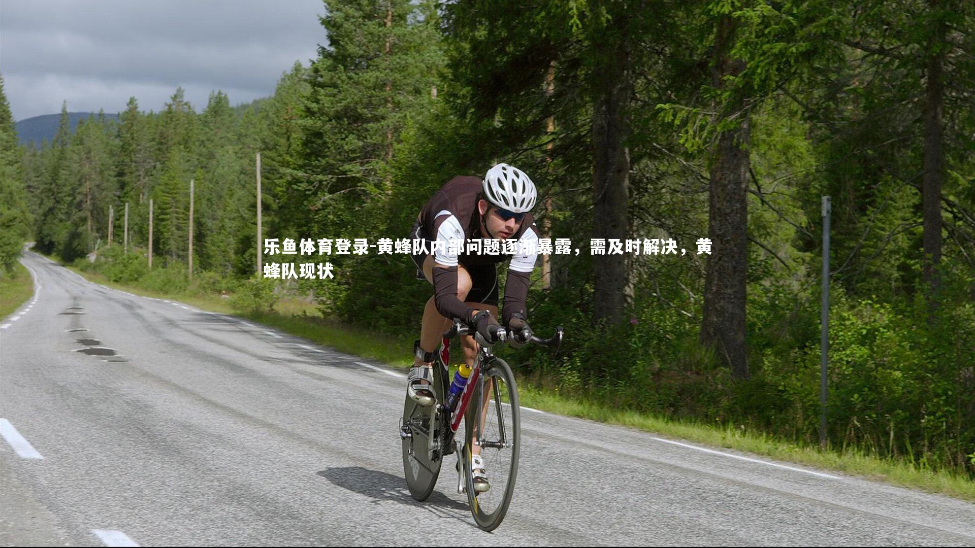 乐鱼体育登录-黄蜂队内部问题逐渐暴露，需及时解决，黄蜂队现状